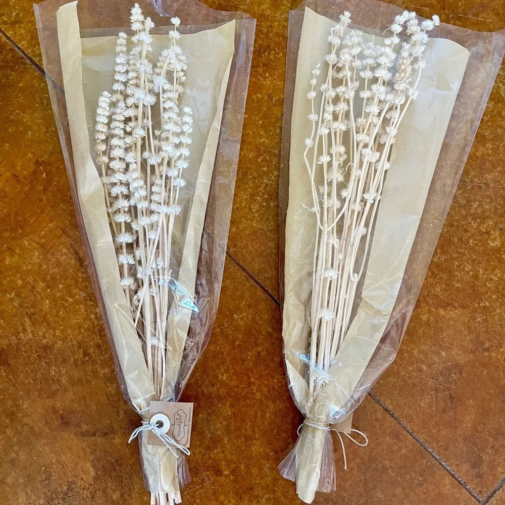 🎉HP🎉Preserved Lions Grass…beautiful! This deal comes with 2 packs!🎉HP🎉 - Picture 4 of 5